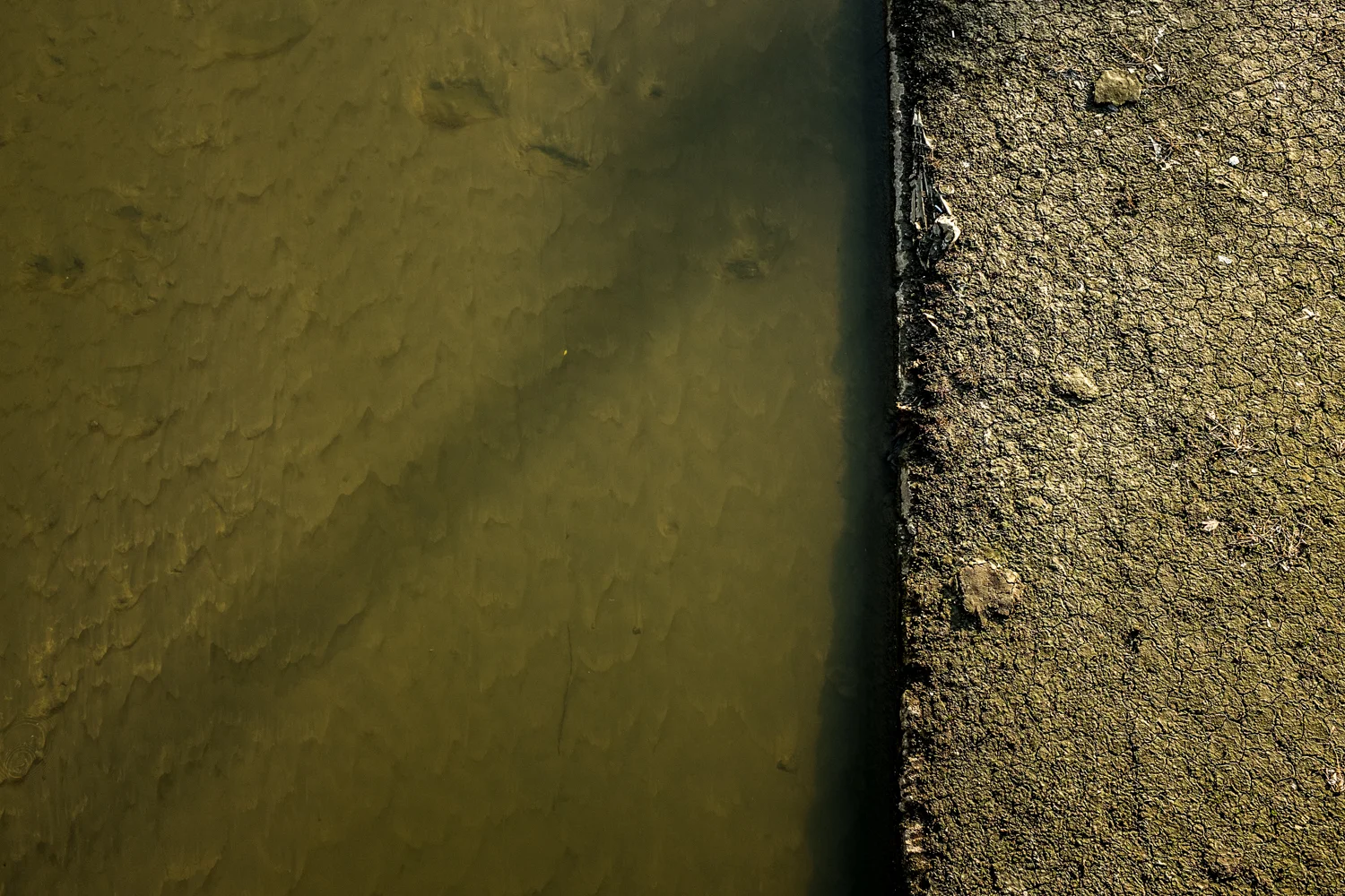 Shallow