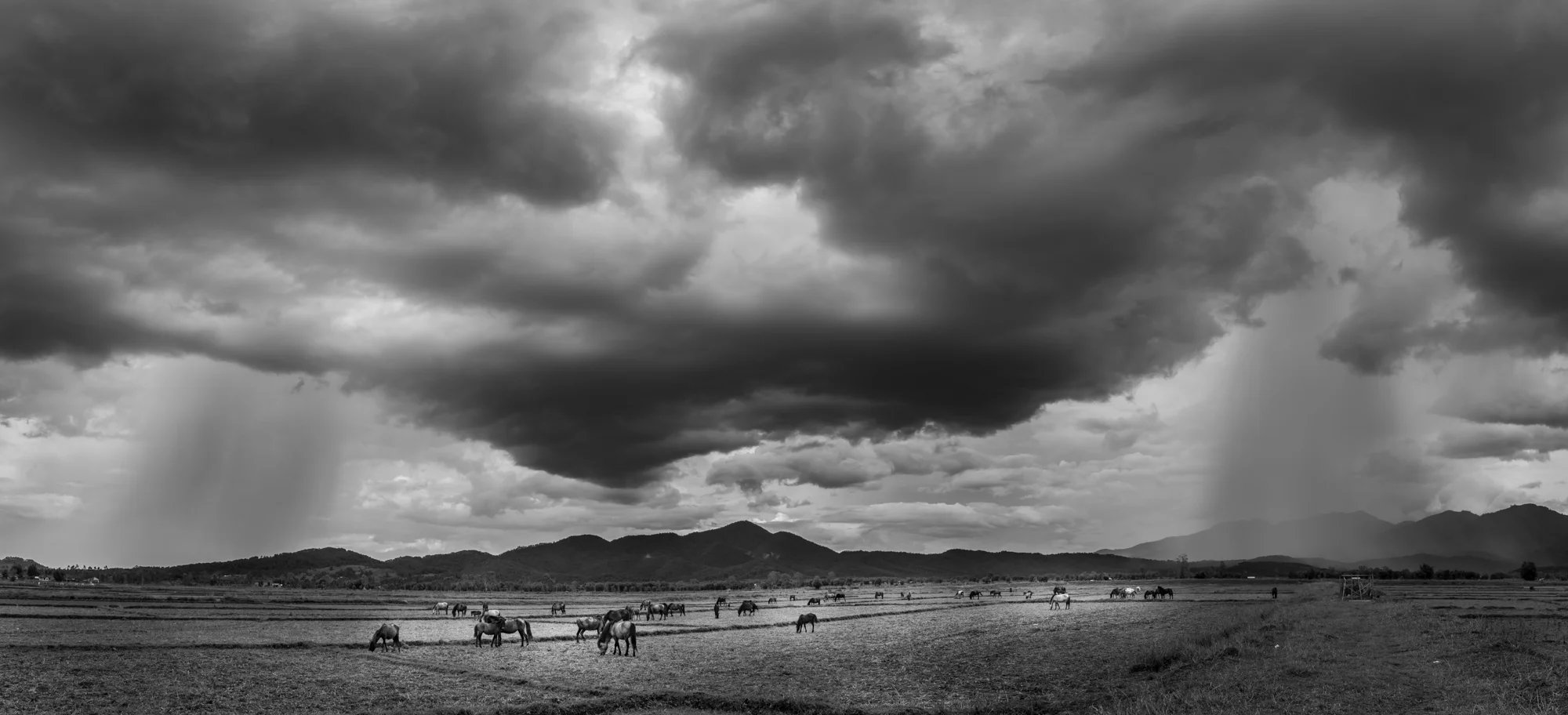 Travel for web-15.jpg