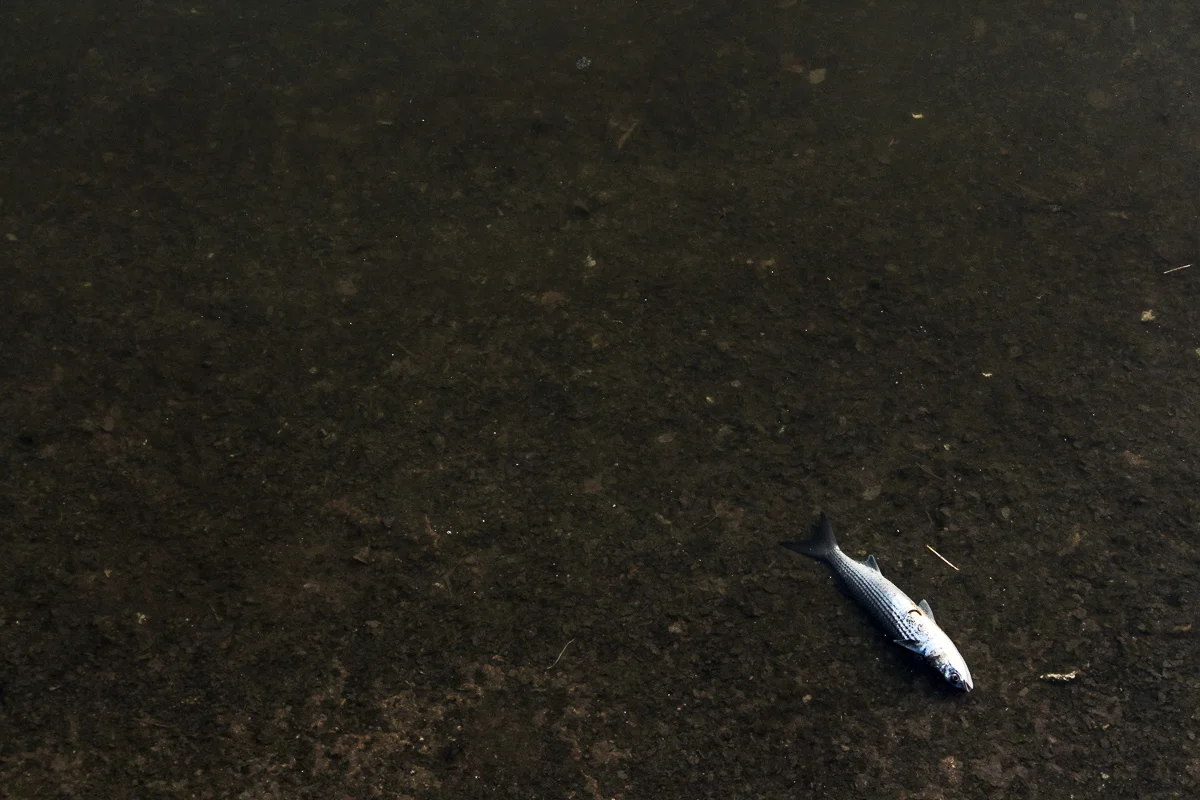 Washed-up