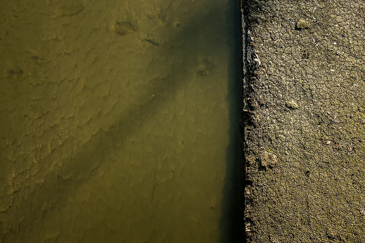 Canal