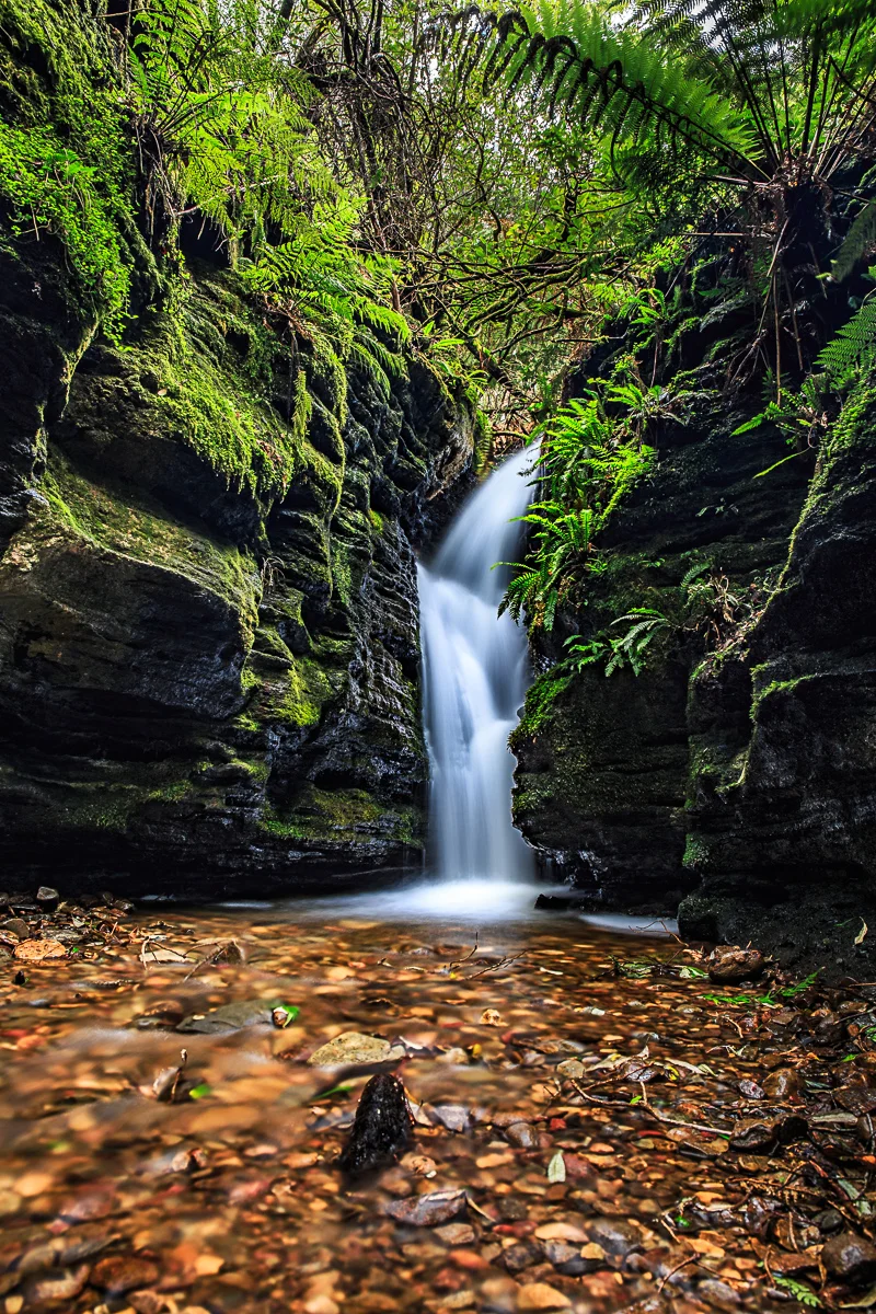 Secret Falls, Hobart