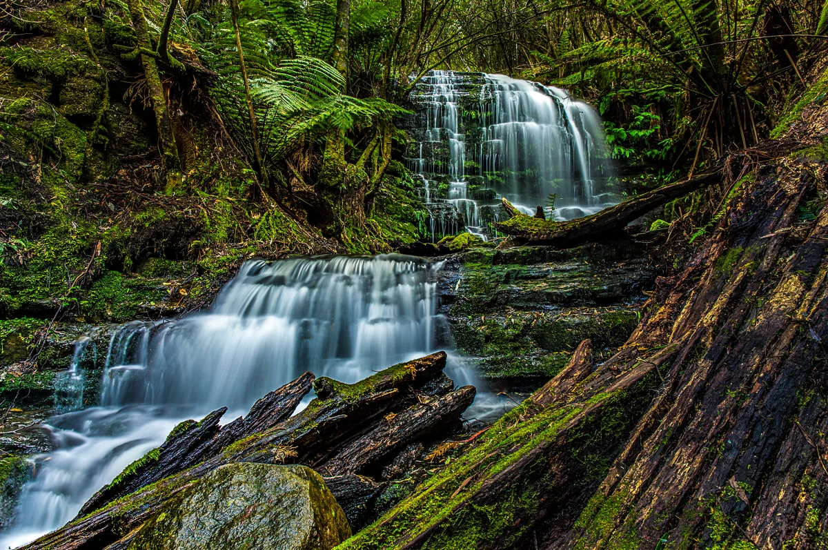 Myrtle Gully Falls, Hobart