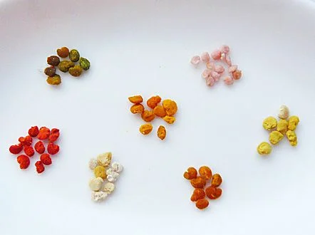 Bee Pollen, "the perfect food"