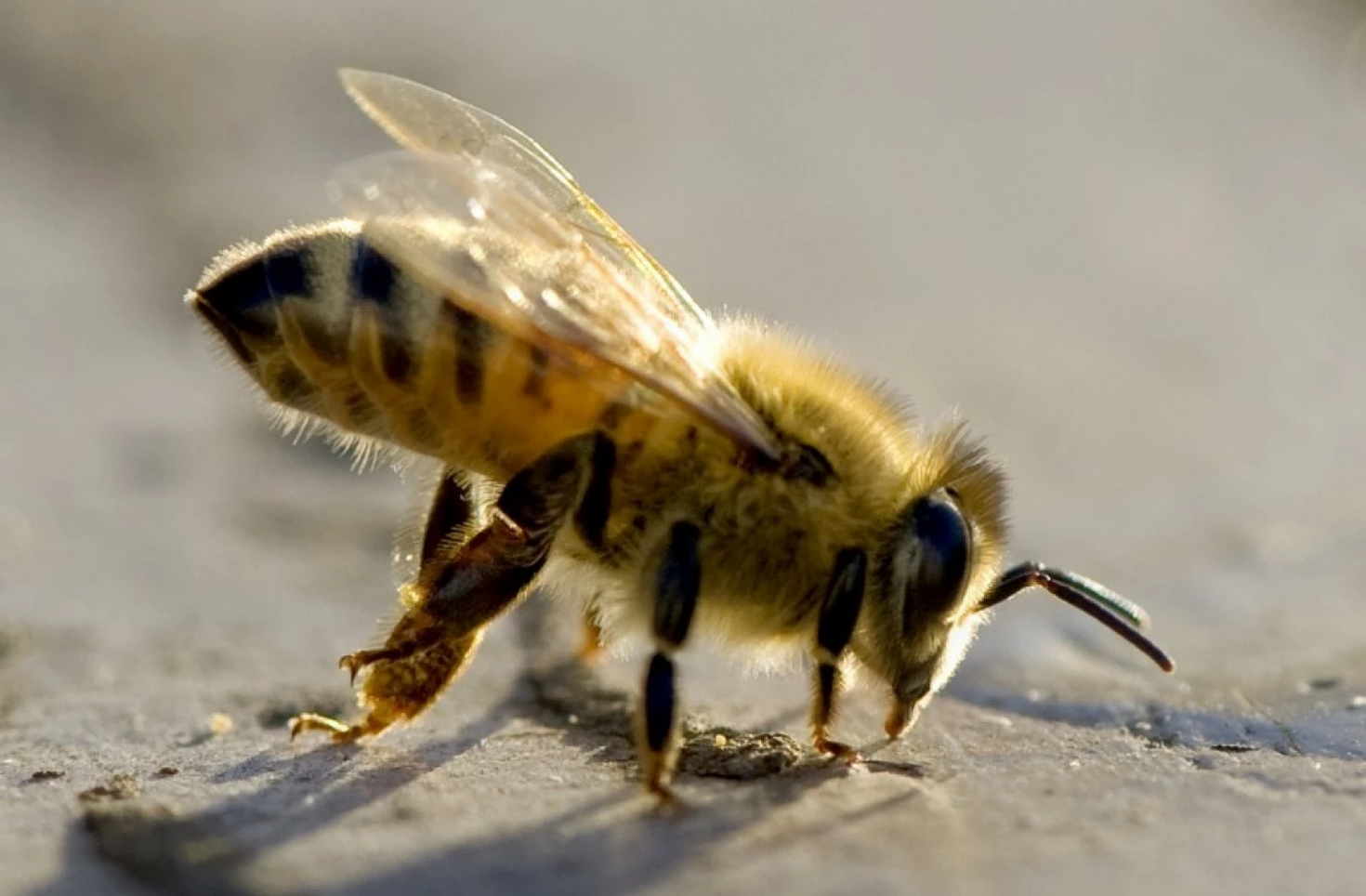 Image and content courtesy of the&nbsp;Washington Post