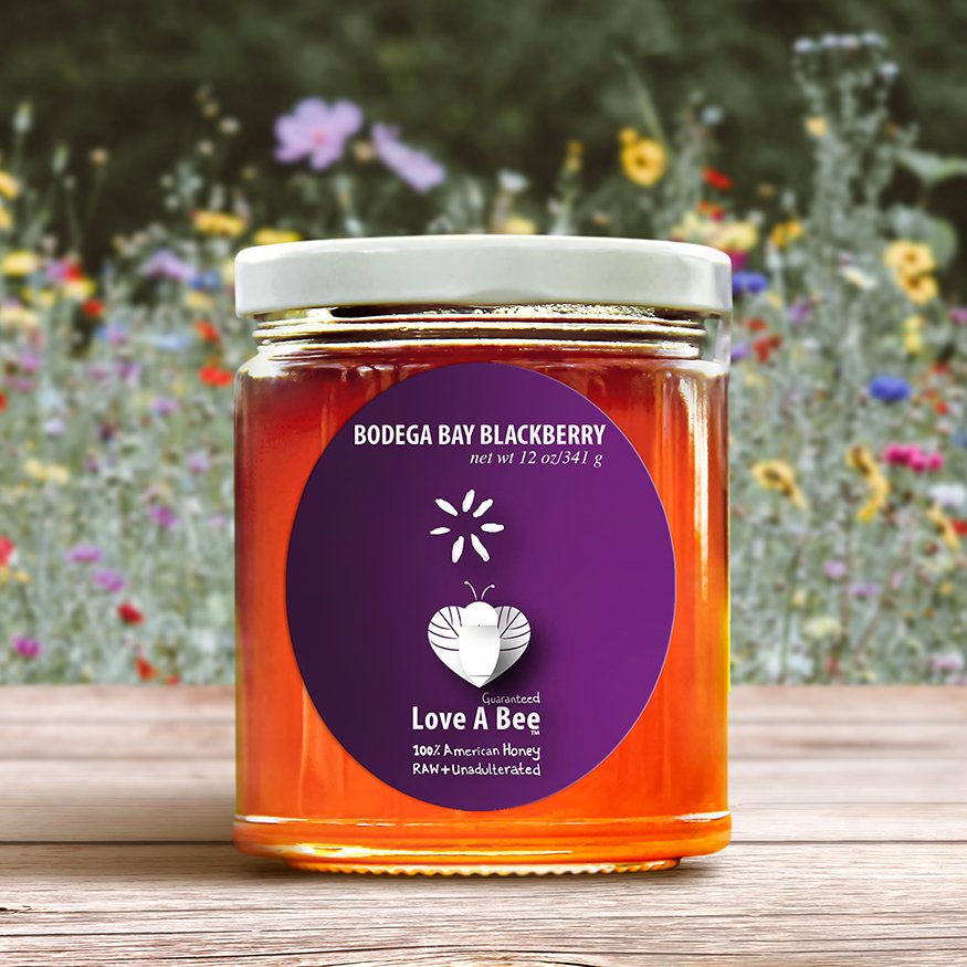 Bodega Bay Blackberry Honey