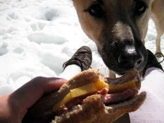 Memorial+Day+Weekend+-+overnight+to+Olallie+Lake+-+53.jpg