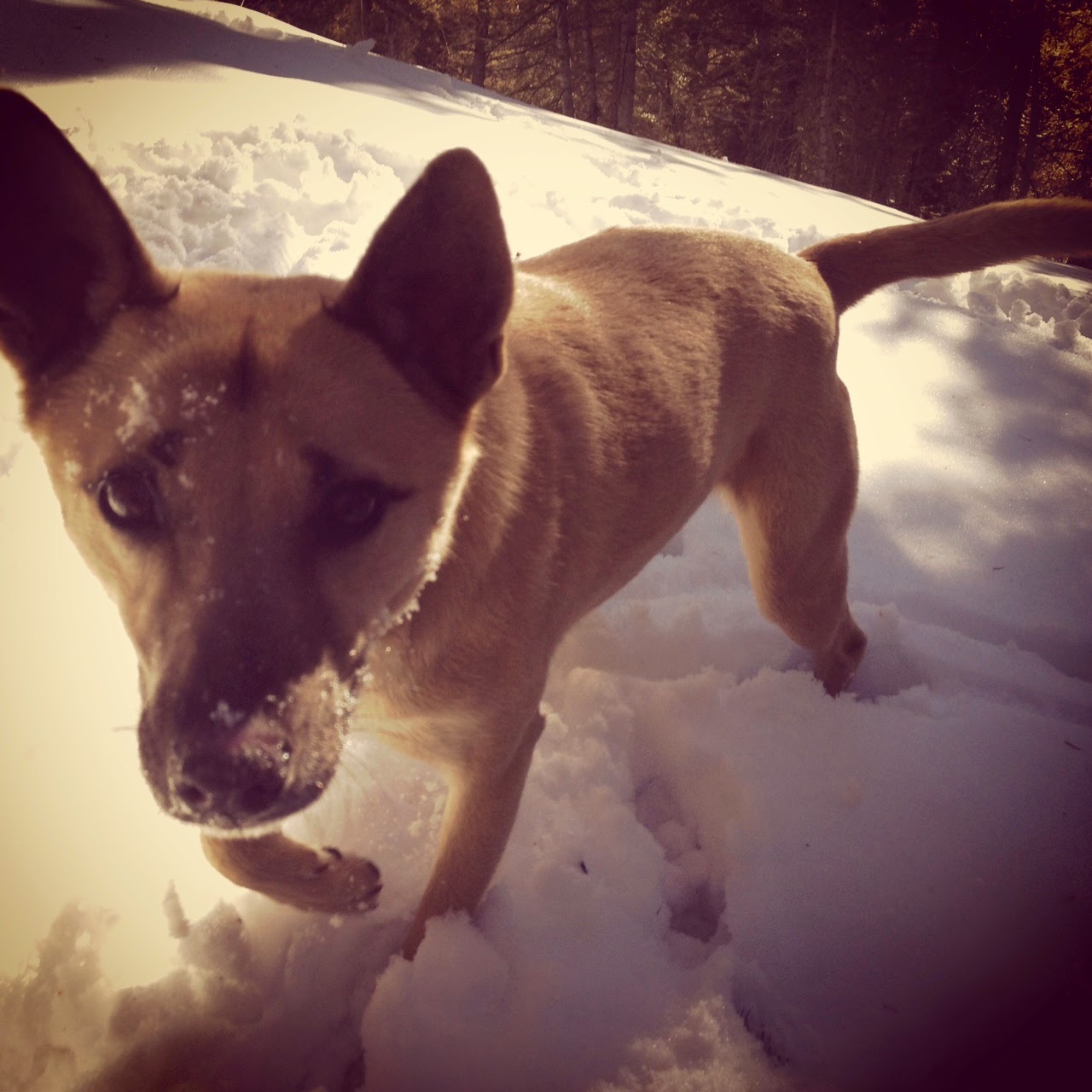 "Squirrel?" 