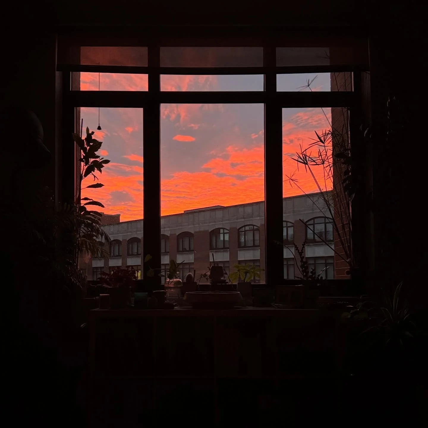 48/52.

Waking up at 6am is delightful, falling asleep by 9pm is grim.