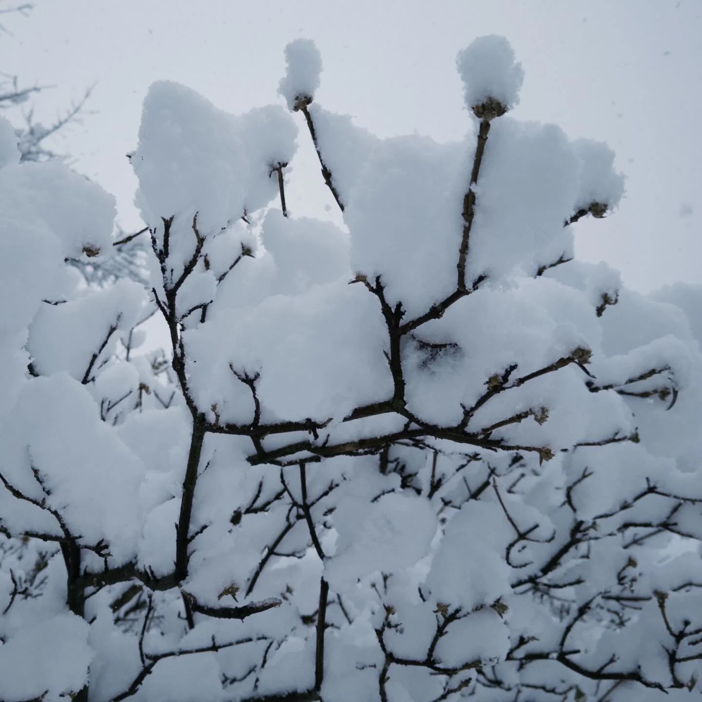 50/52.

F*ck a** bob!