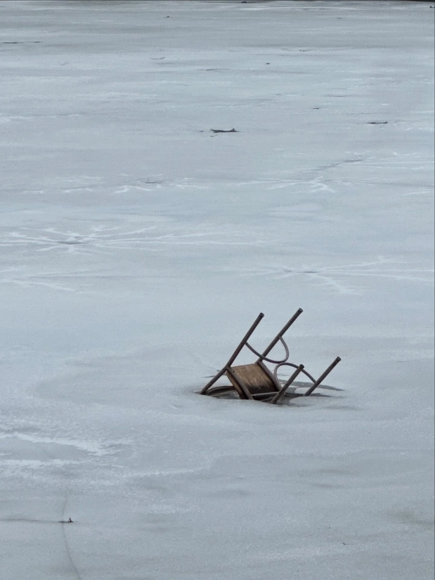 7&ndash;10.
Snow has melted.