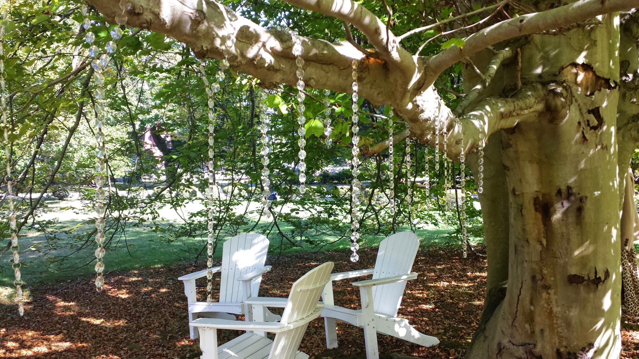 20130920_153624.jpg