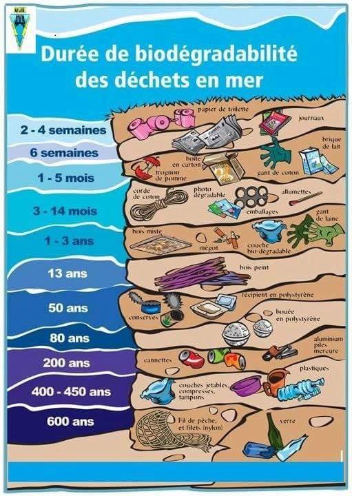 Durée de biodégradabilité des déchets en mer