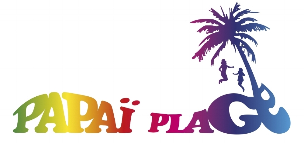 Papaï Plage Papaï Paddle Ecole De Stand Up Paddle Ile De Ré