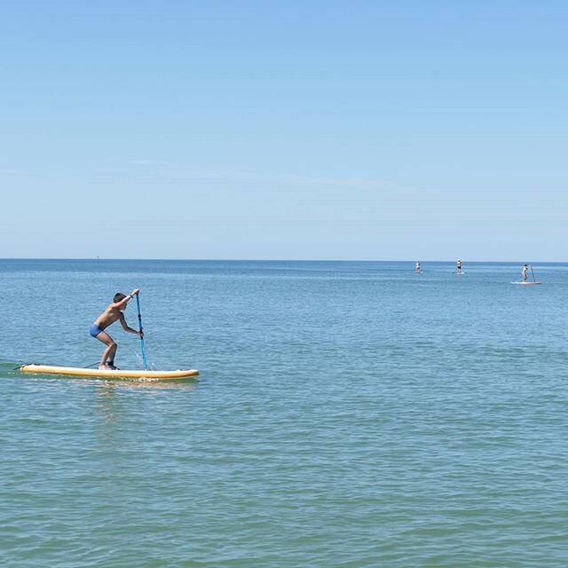 Un bon coup de rame et on prend le large, le r&ecirc;ve, non ?! 🌞💙🤗 -
-
#covid19 #missthis #perfectview #paddleboarding #paddle #standuppaddle #stayhome #perfectblue #vitaminsea #iledere #ileder&eacute; #charentemaritime #larochelle #supschool #pa