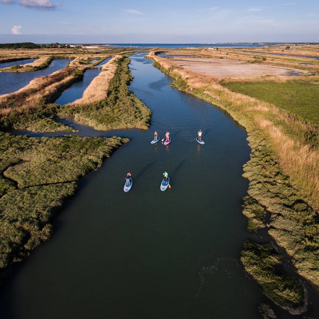 sortie rando paddle ile de ré marais 