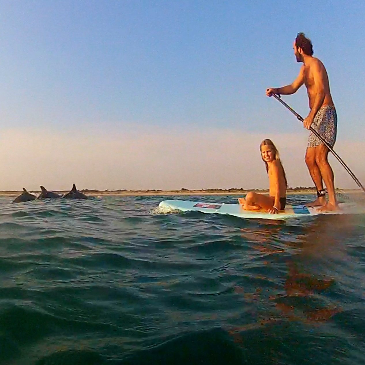 Les Dauphins à Papaï Paddle - Île de Ré.png