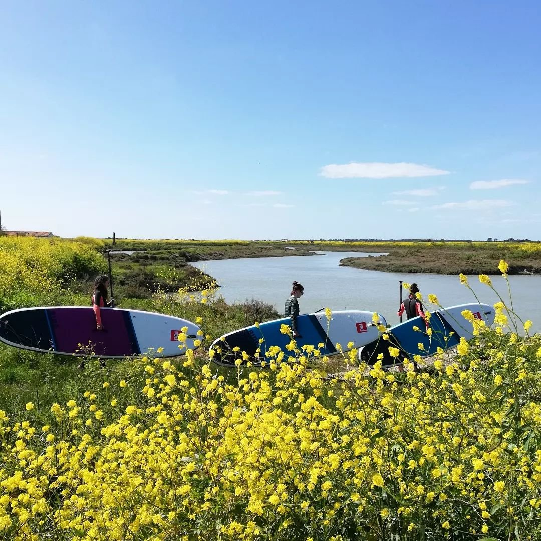 Sortie du jour dans les marais ! Chaque saison ses couleurs et toujours autant de plaisir &agrave; partager ces instants hors du temps avec vous 🙏
Merci les filles de nous avoir choisi pour ce week-end EVJF ✨🌞
Petit rappel, pour ceux qui n'ont pas 