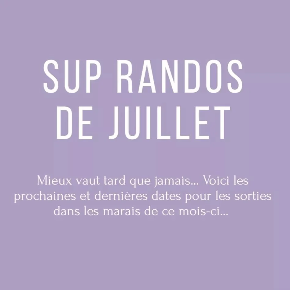 Malgr&eacute; notre retard de publication certains n'ont pas loup&eacute; la premi&egrave;re s&eacute;rie de balades dans les marais du mois 🌞
Voici les prochaines dates &agrave; ne pas louper pour le mois de Juillet 2024 !
&Agrave; noter que la sor
