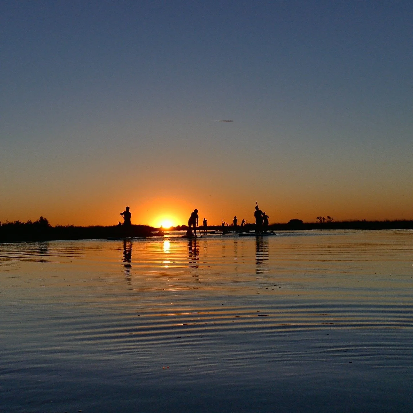 Une semaine avec des randonn&eacute;es en paddle dans les marais au programme qui commence demain et le soleil au rendez-vous. 
Quelques places &agrave; prendre encore sur mardi mercredi et jeudi fin de journ&eacute;e! Pour plus d'infos contactez-nou