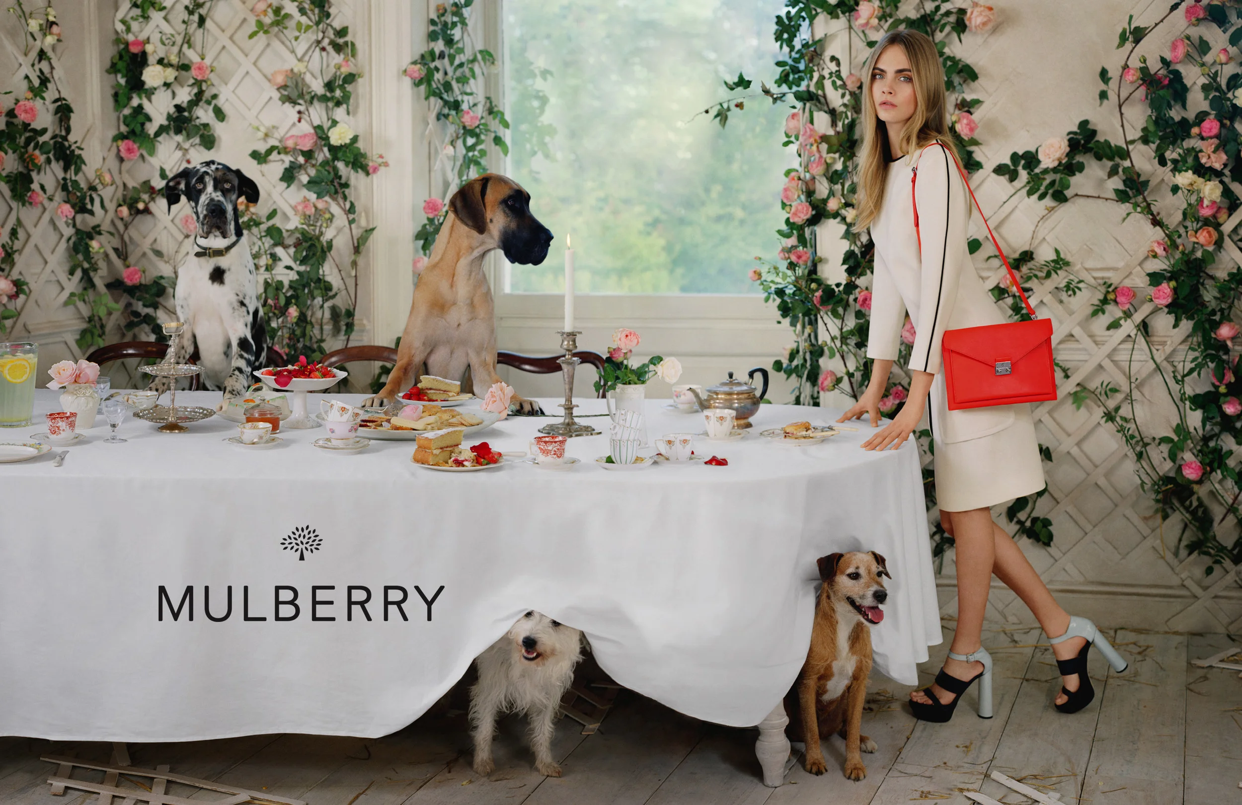 mulberry-authorised-retailers-robinsons.jpg