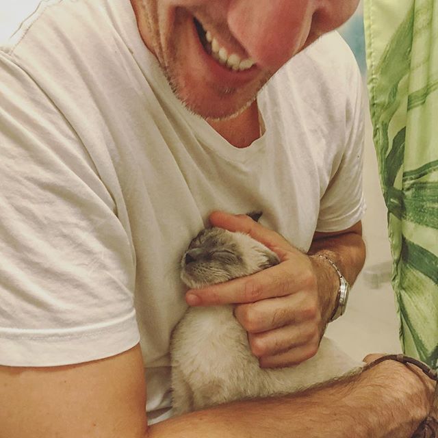 Not quite the same as holding your first born, but she’s pretty close. #untitledkitty #seancaseyanimalrescue #takingnames
