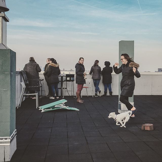 #Brooklyn #wooftops