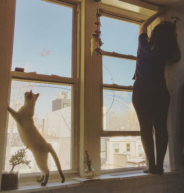 Pijin and girlfriend, ensuring better home improvements.