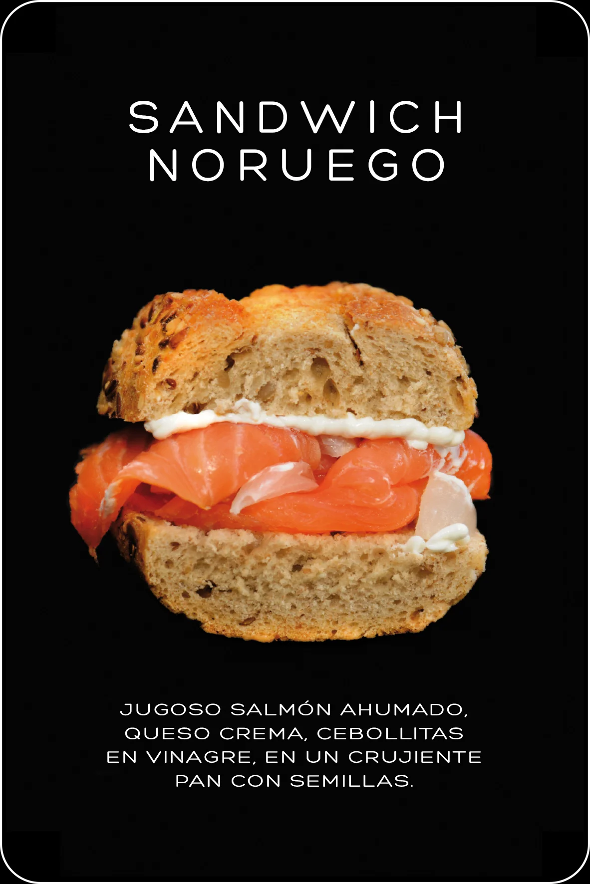 NORUEGO+BORDE.jpg