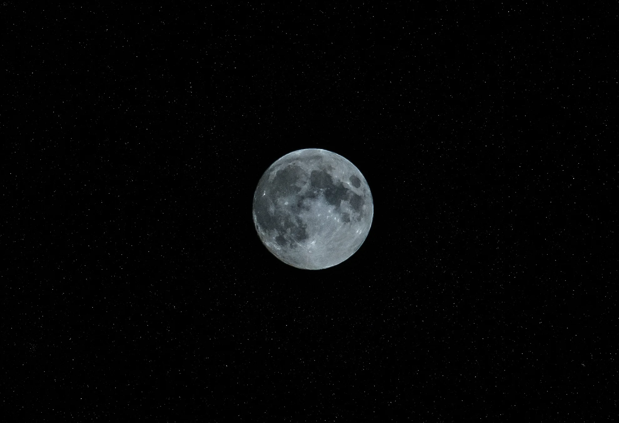 DSCF3559.jpg