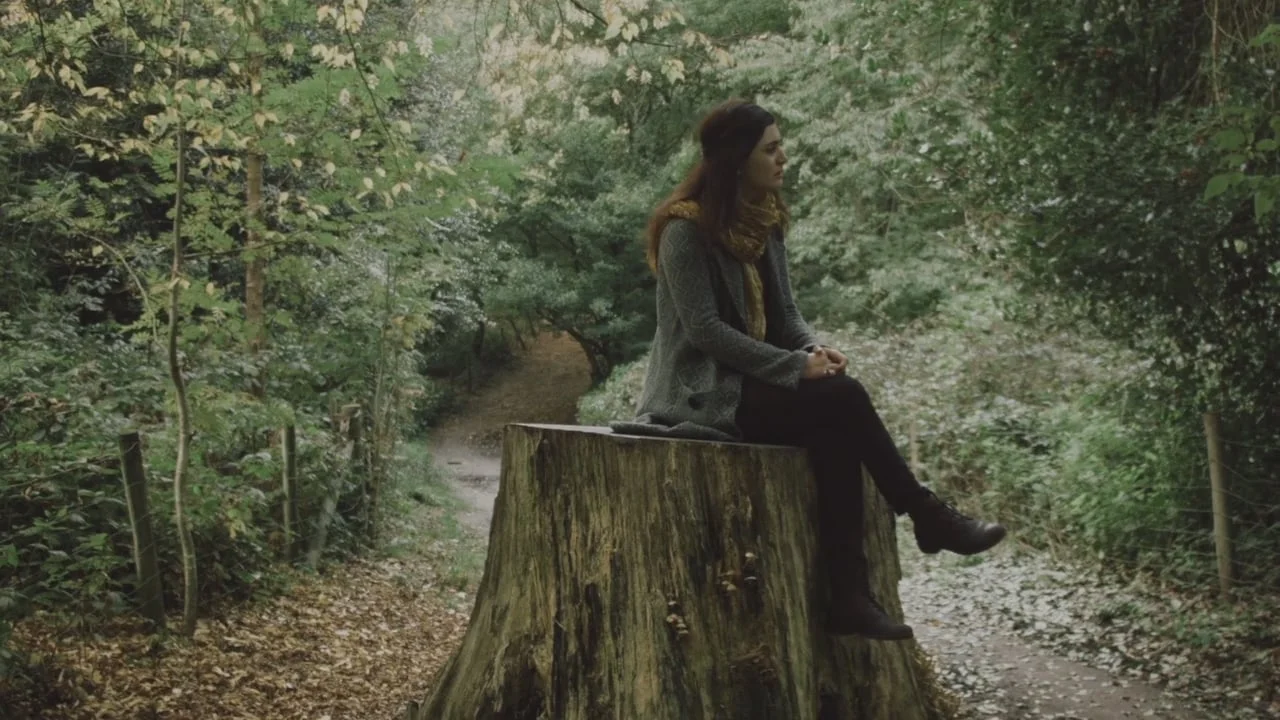 Cigdem Aslan - The song from my village