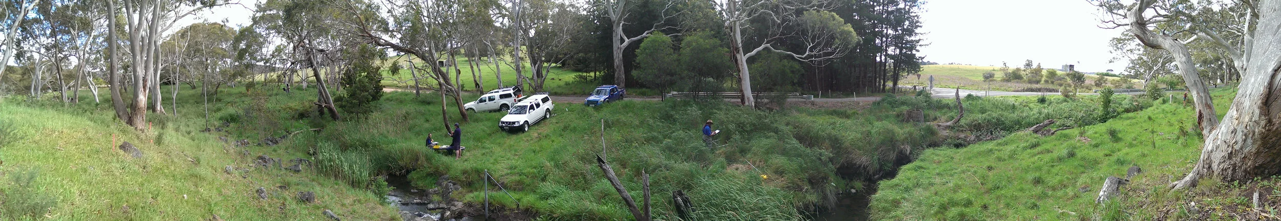 Field_sampling.jpg