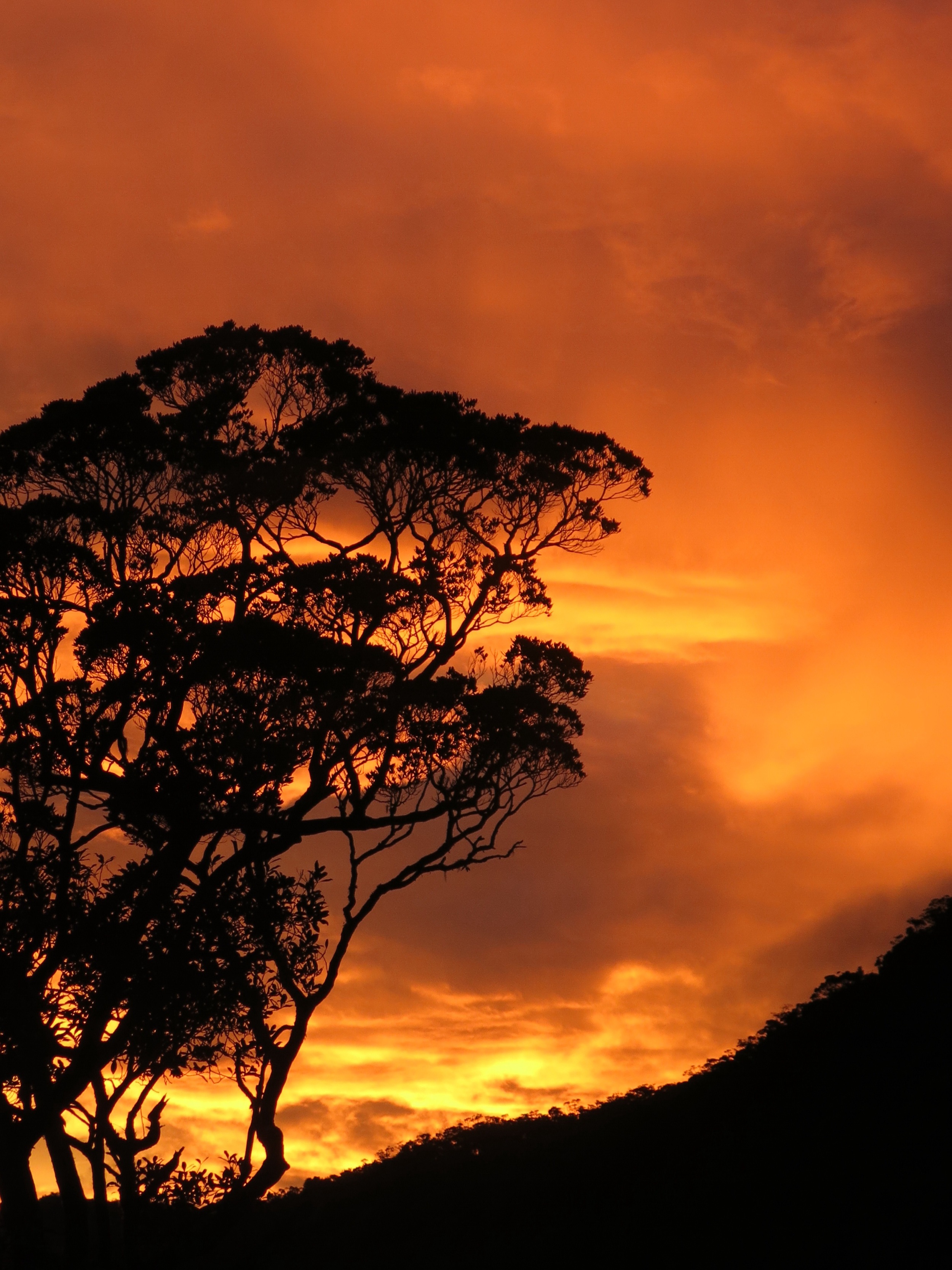 Damon conducts a Borneo recce for 2015 Mt Kinabalu trips