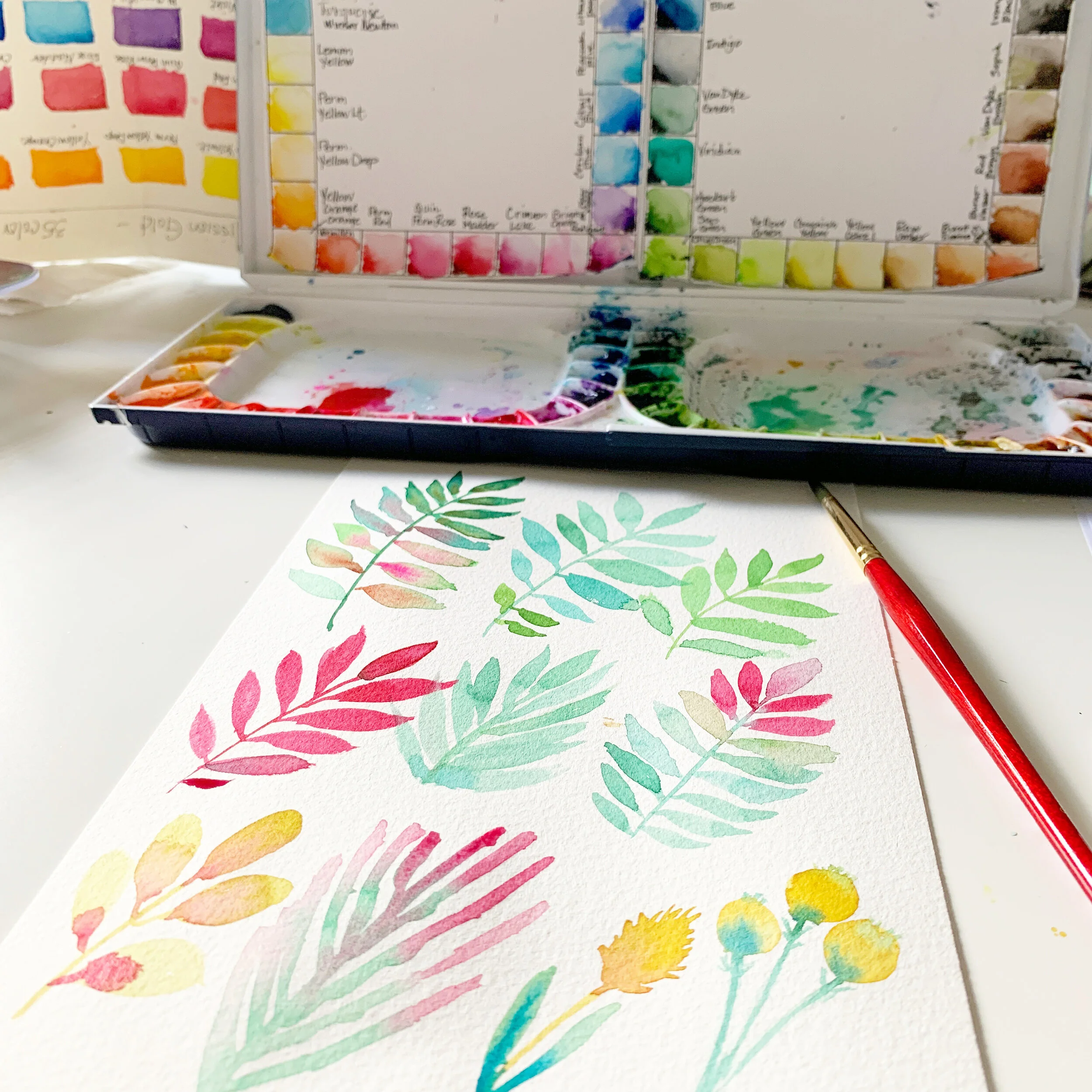 Best Watercolor Supplies for Beginners — Sandi Keene
