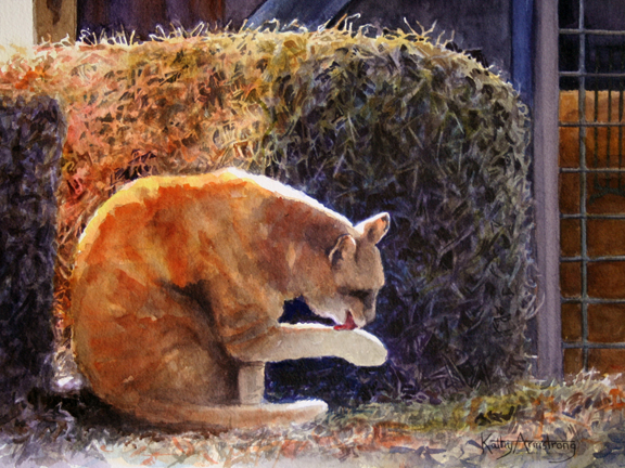 "The Barn Cat"