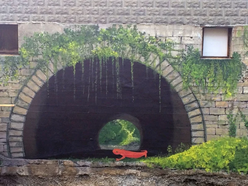 Here is a better view of the tunnel area once the scaffolding was moved.