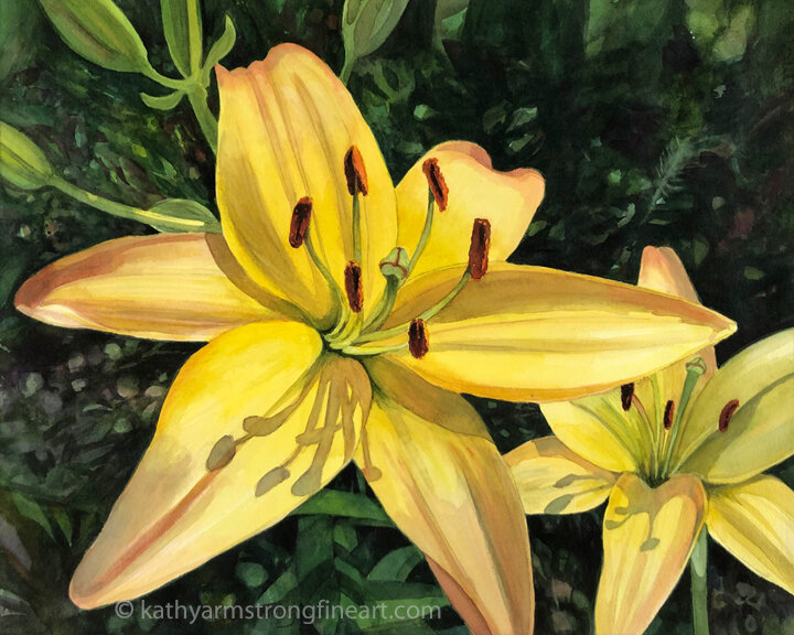 "Yellow Asiatic Lily"