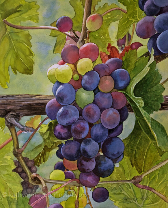 "Vineyard Bounty"