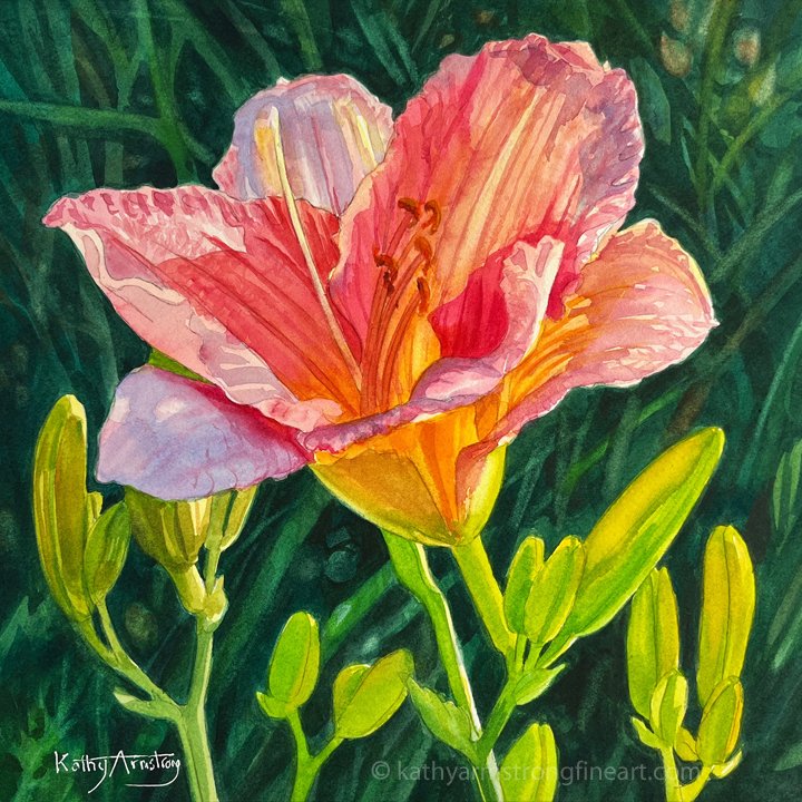 "Peach Daylily"