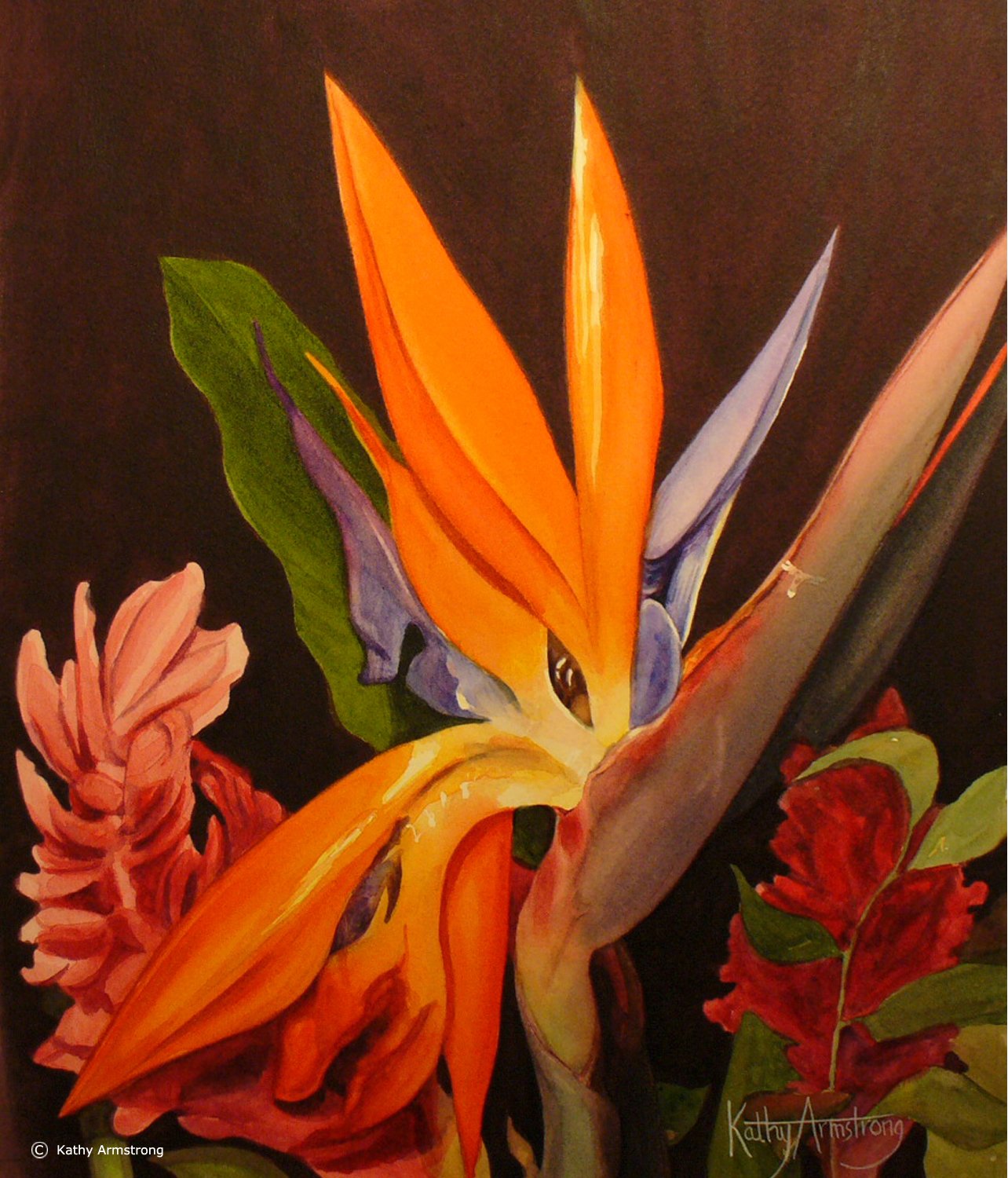 "Bird of Paradise"