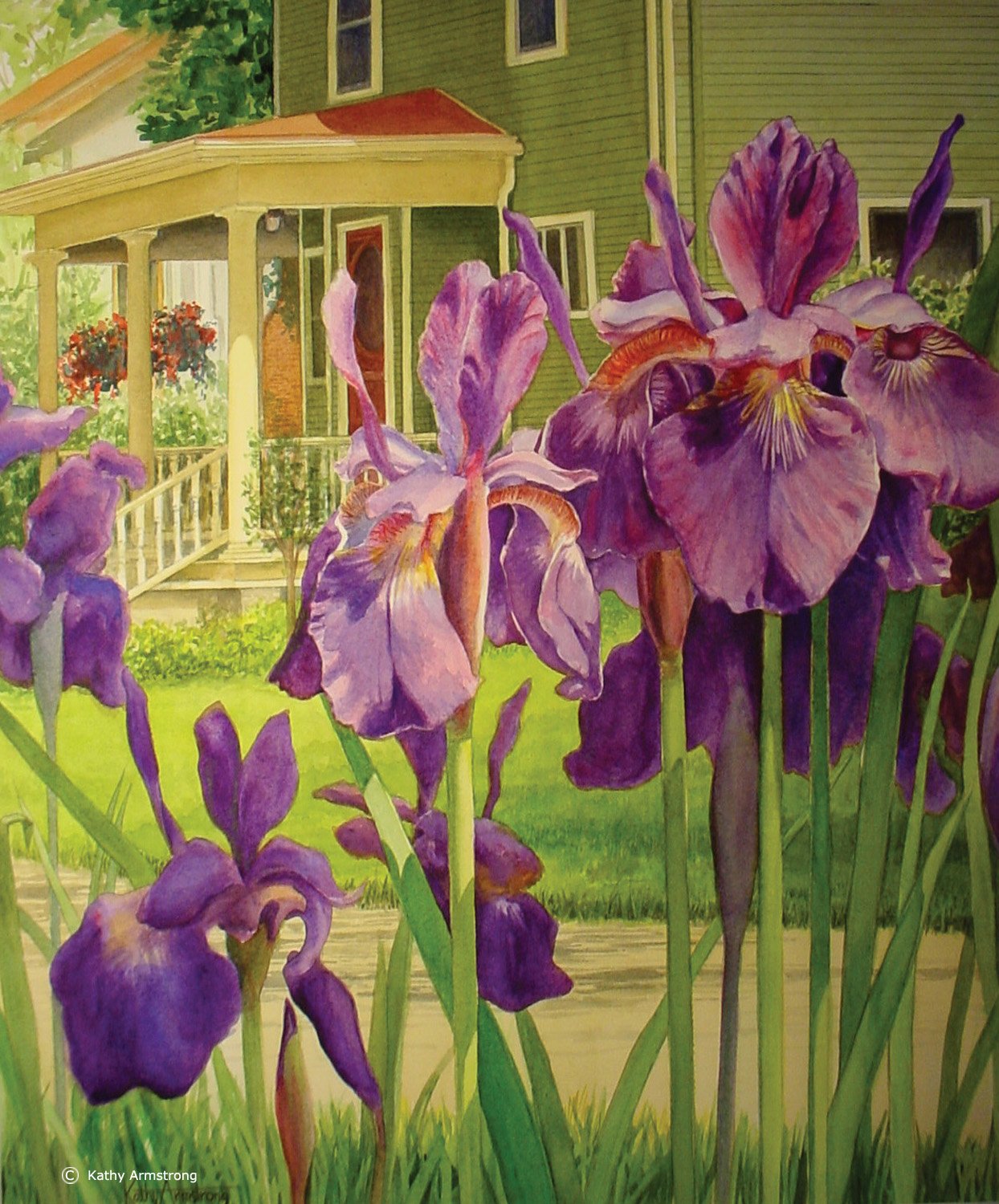 "Irises on Jefferson"