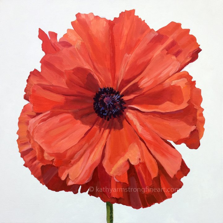 "Poppy Portrait"