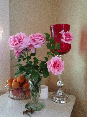 Perfect pink roses from our Nashville garden.