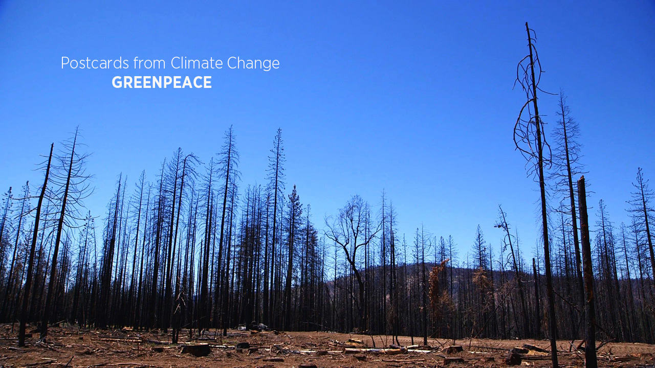 Postcards from Climate Change