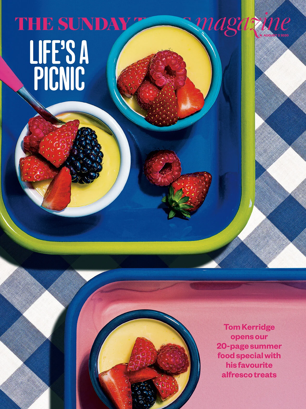 Picnics Cover low.jpg