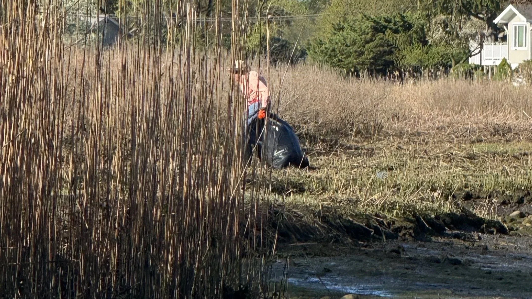 Community Clean-Up