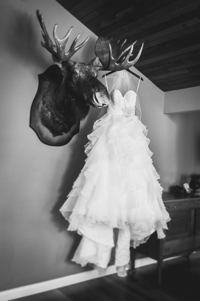 untitled-3.jpg