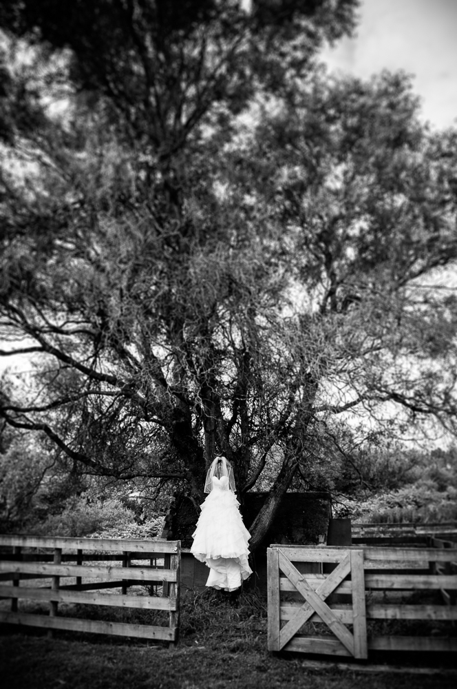 untitled-10.jpg