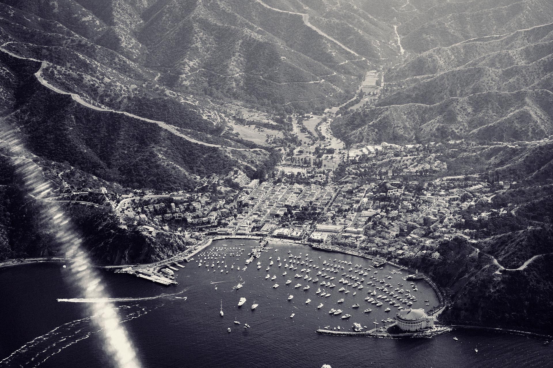 CatalinaIsland_PhillipAngert - 15.jpg