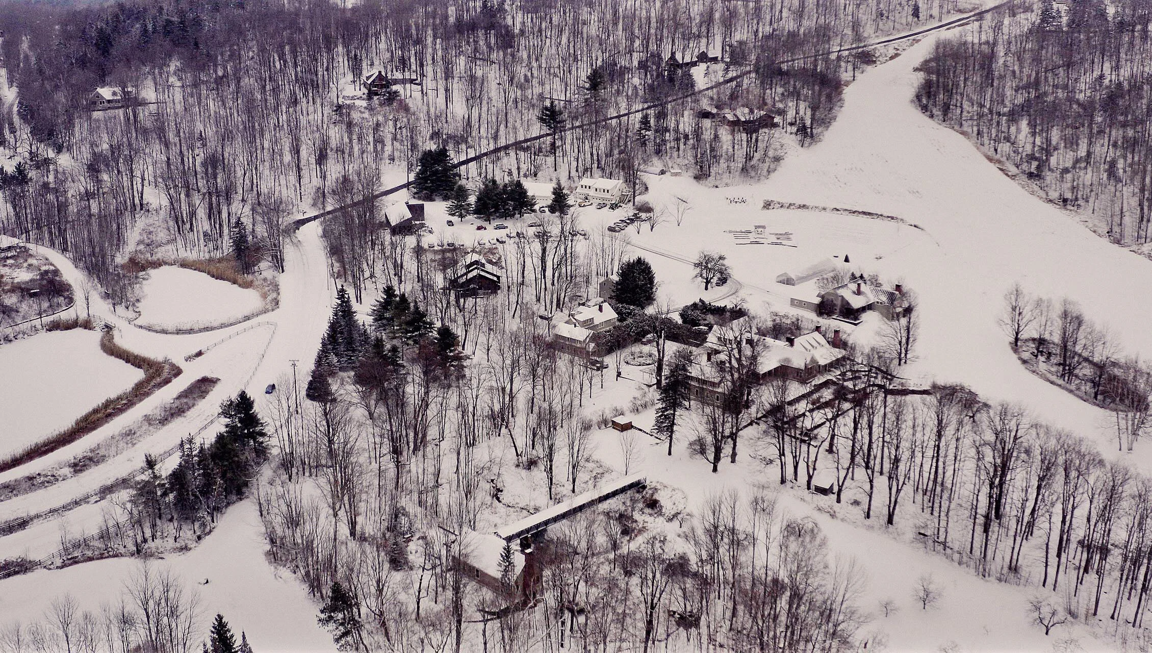 TwinFarms20191113PhillipAngert - 2.jpeg