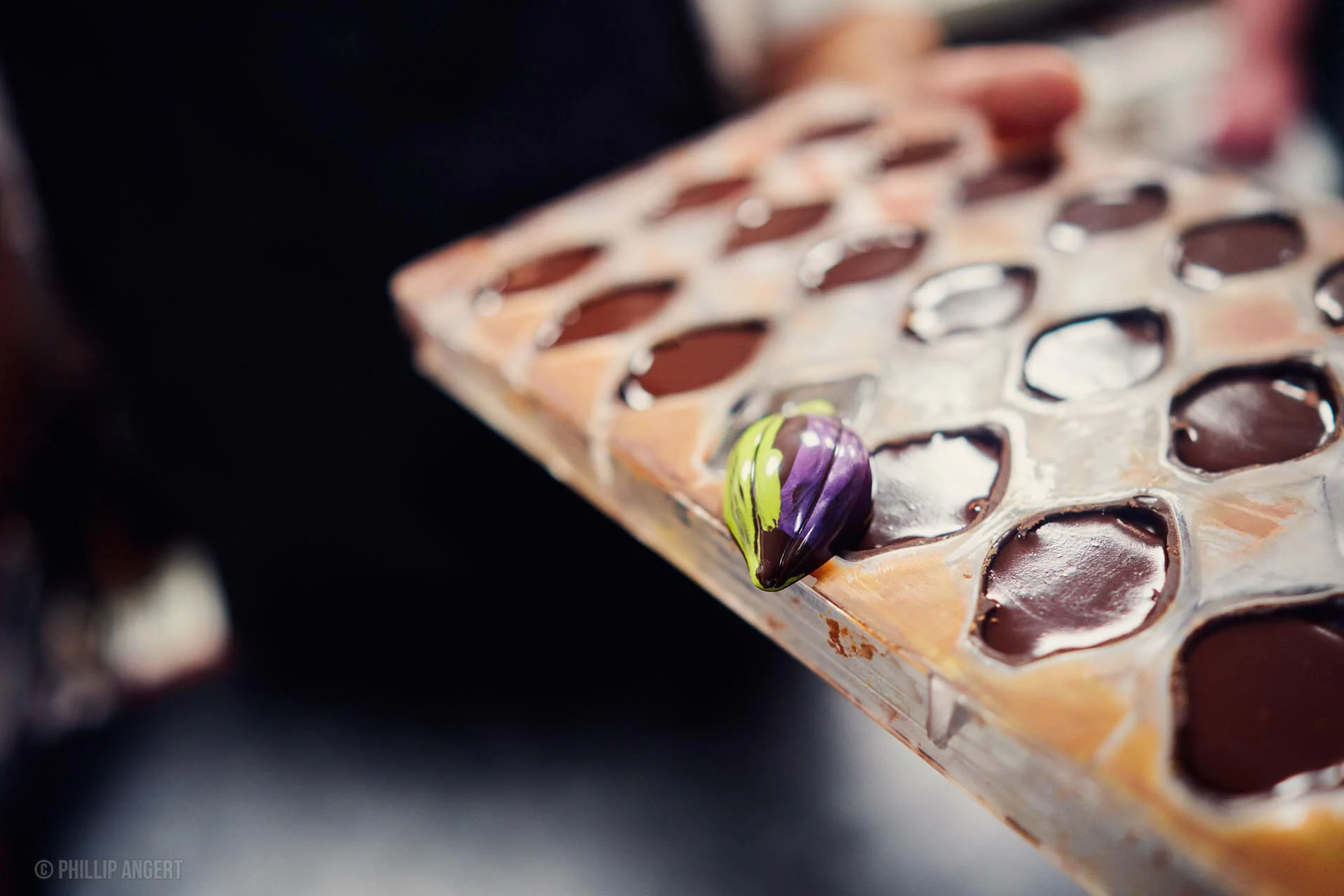 TwinFarms20191113PhillipAngert - 17.jpeg